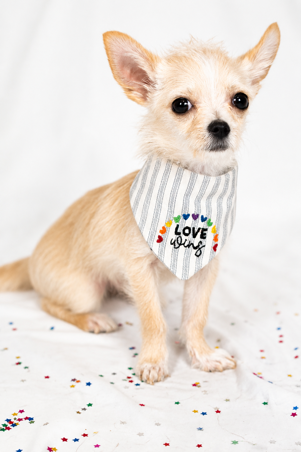 Love wins