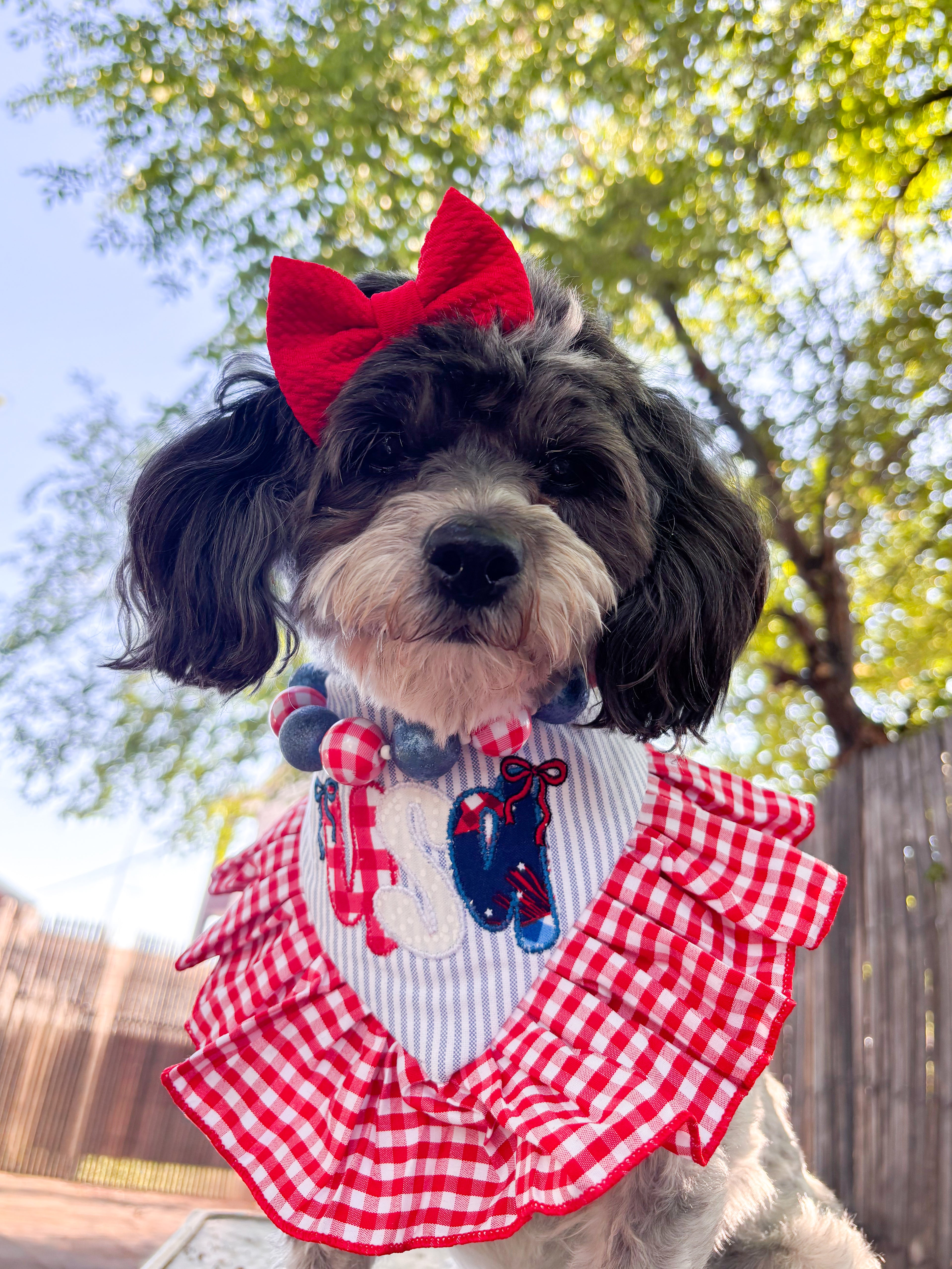 USA Sweetheart