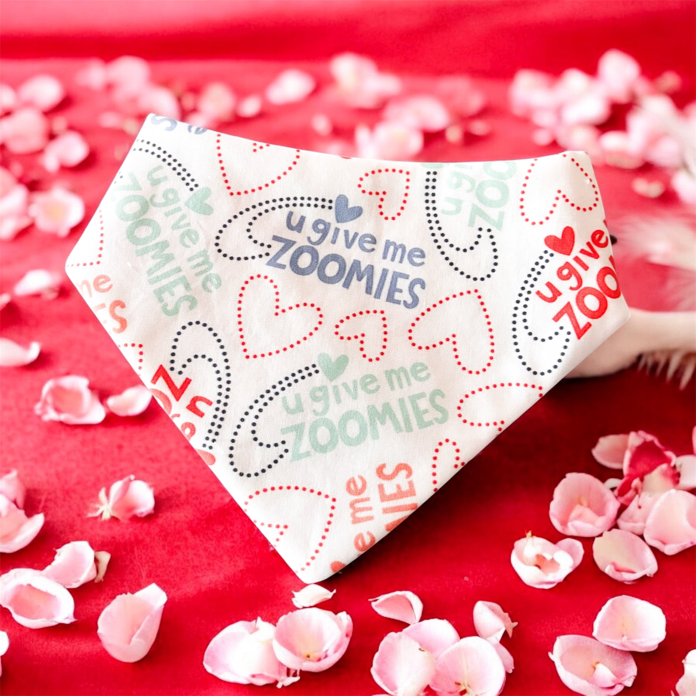 Zoomies & My furry Valentine