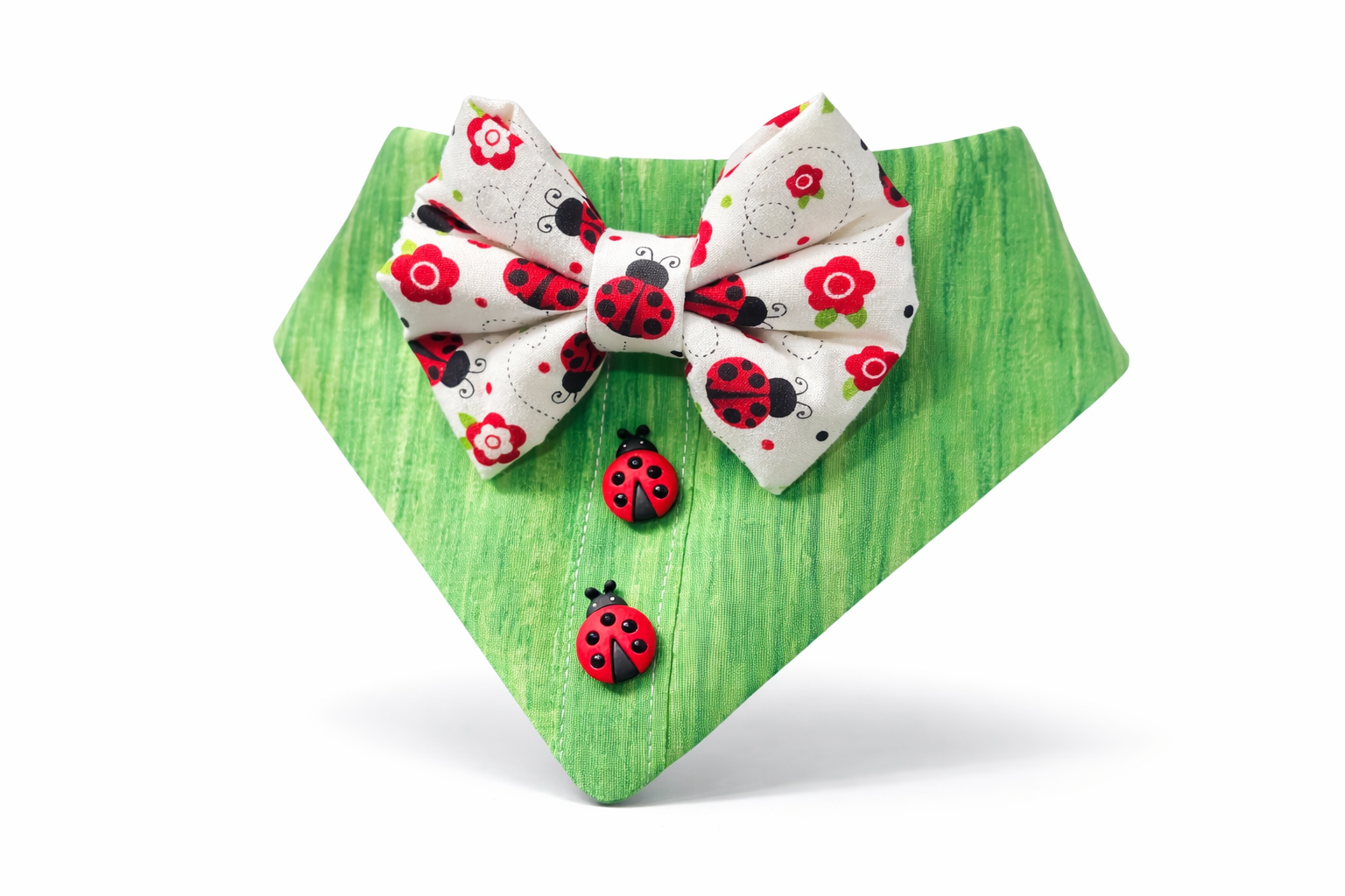 Ladybug picnic