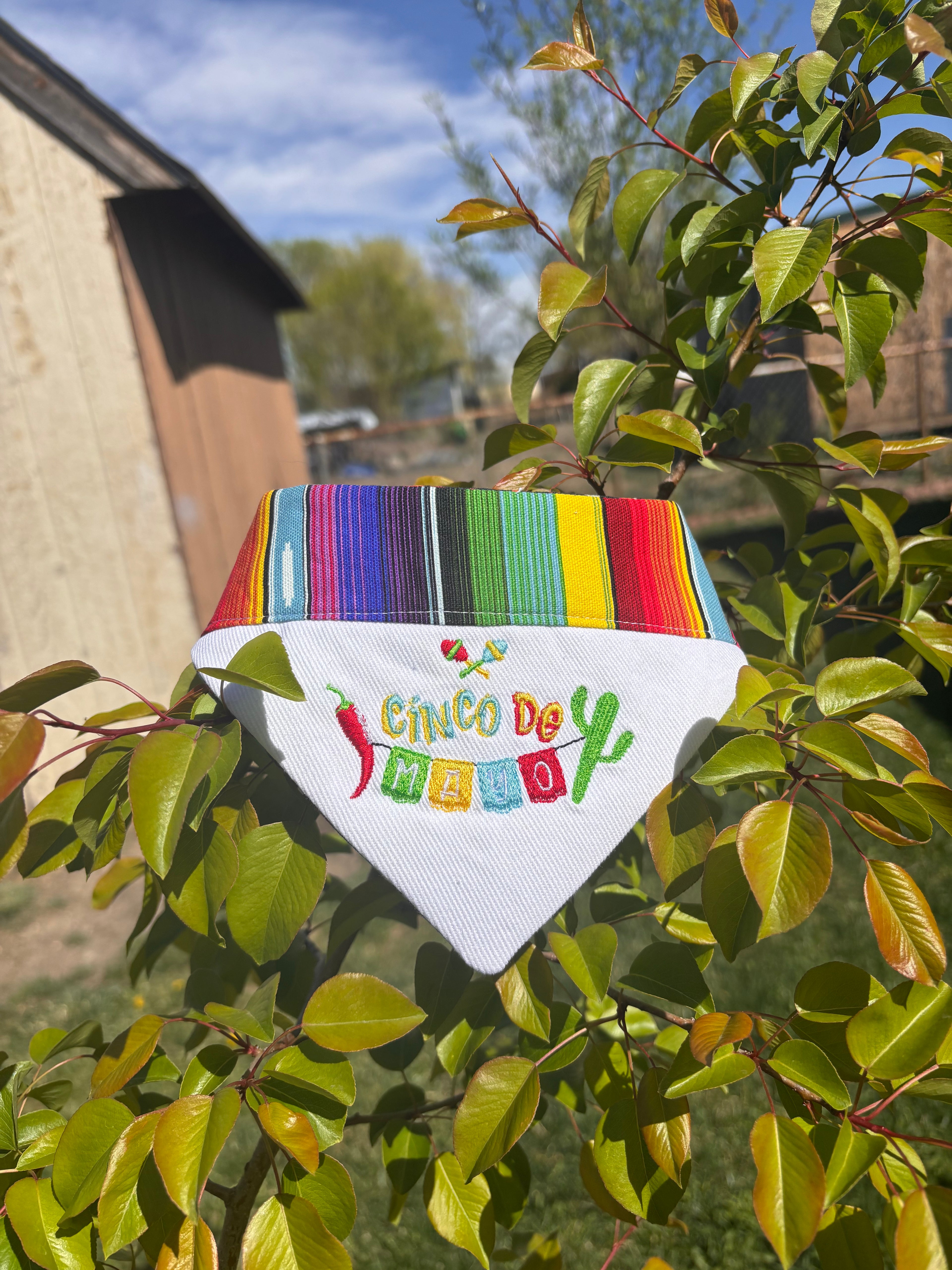 Fiesta Bonita