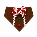 Mr. Gingerbread