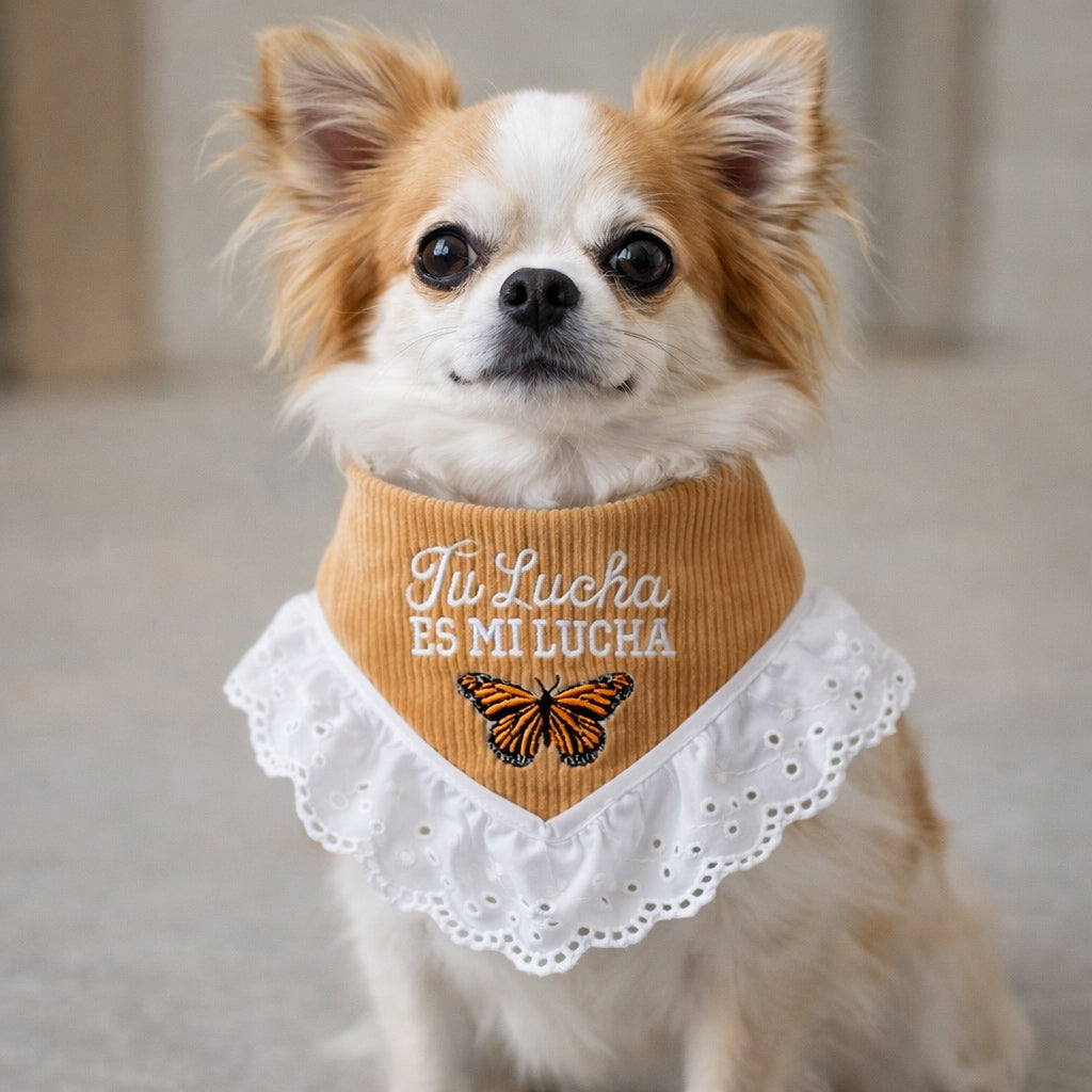 Tu Lucha es mi Lucha